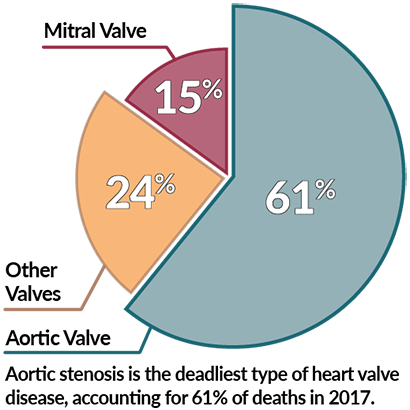 Pie chart showing mortality rates for heart valve disease by valve type