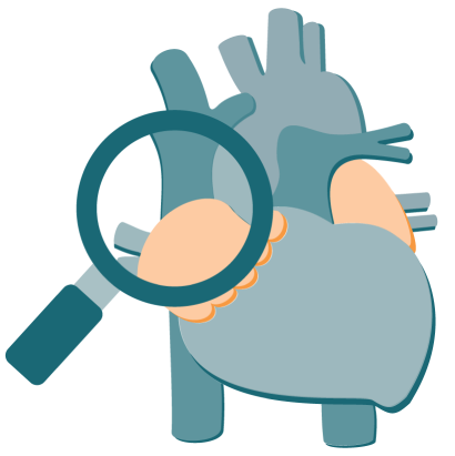 Diagram of a magnifying glass over top of a heart and its valves