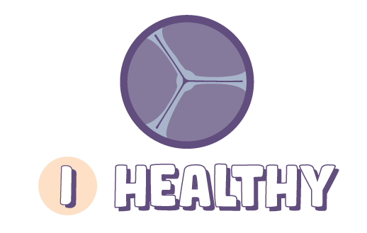 Stage 1: healthy heart valve